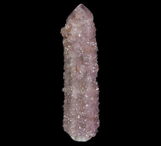 Cactus Quartz (Amethyst) Crystal - South Africa #64244